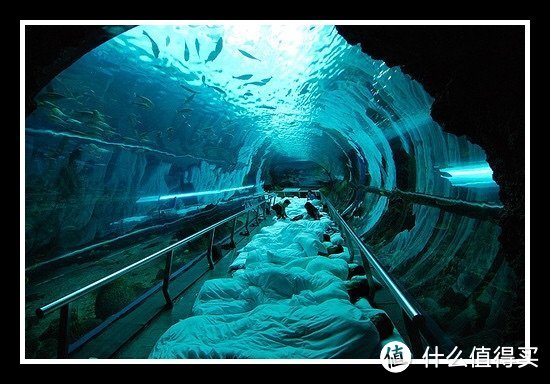 夜宿海底隧道（网上照片）