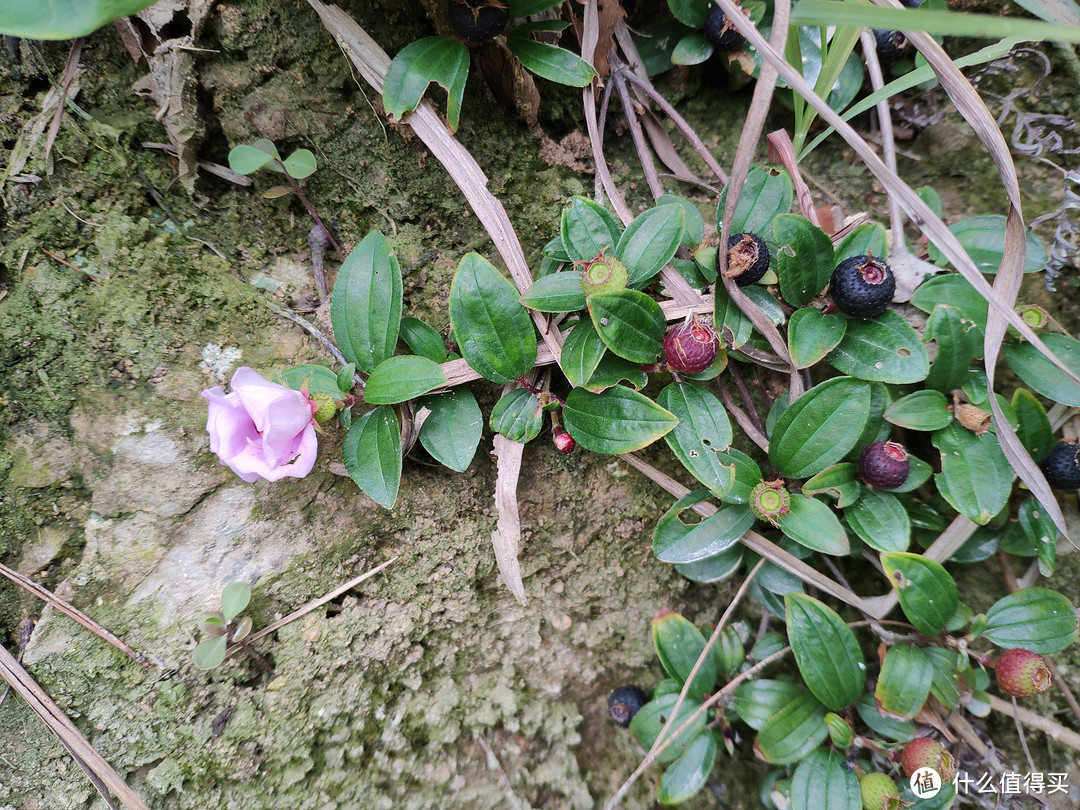 又到一年遛娃季,地念花开正当时——暑假回乡的博物