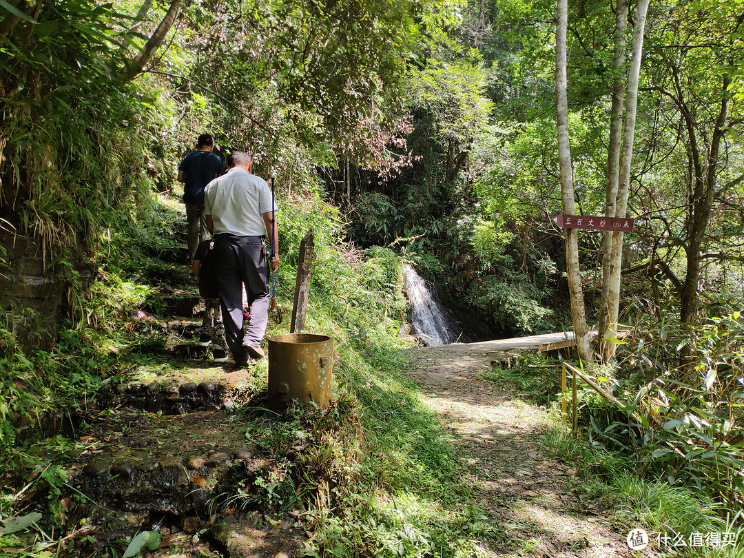 又到一年遛娃季，地念花开正当时——暑假回乡的博物之旅