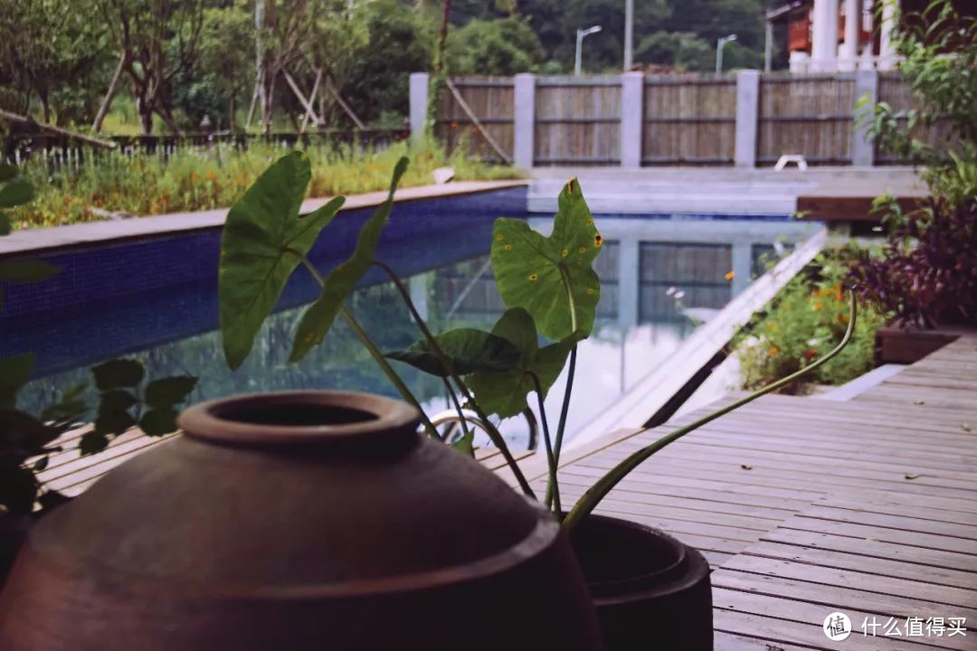 【民宿推荐】竹林小溪泳池，川美设计师在靖安造了一个山居