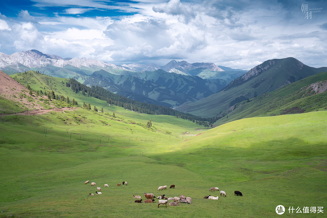 伊犁日记—夏季梦旅人，我们在天山3000km的自由行