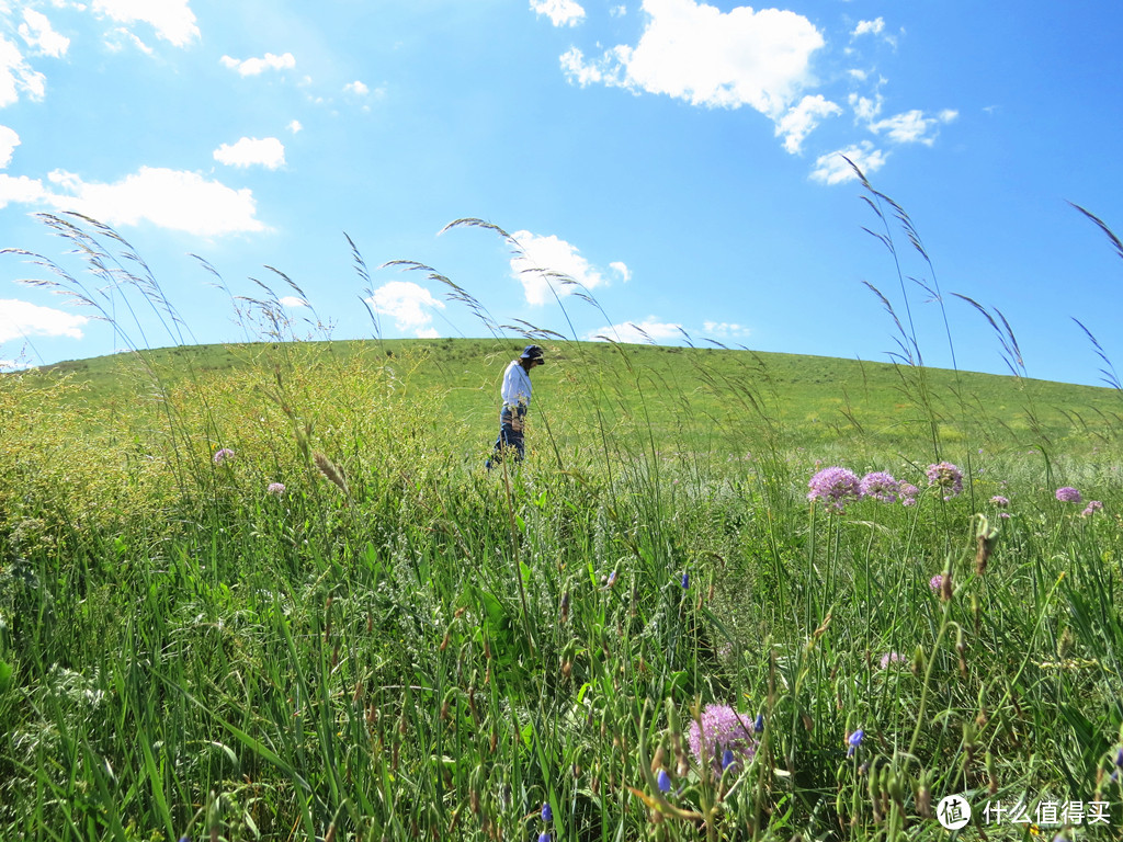 青青绿草地，每一口呼吸都是新鲜—内蒙古锡林郭勒自驾游干货分享