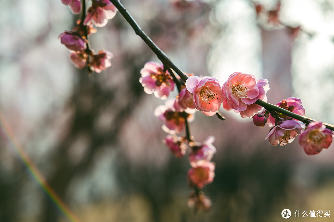 富士镜头XF35mmf2与XF35mmf1.4对比