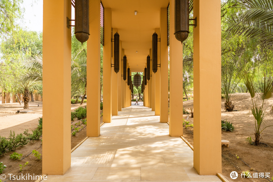 哈伊马角的沙漠绿洲—The Ritz-Carlton Ras Al khaimah, Al Wadi Desert