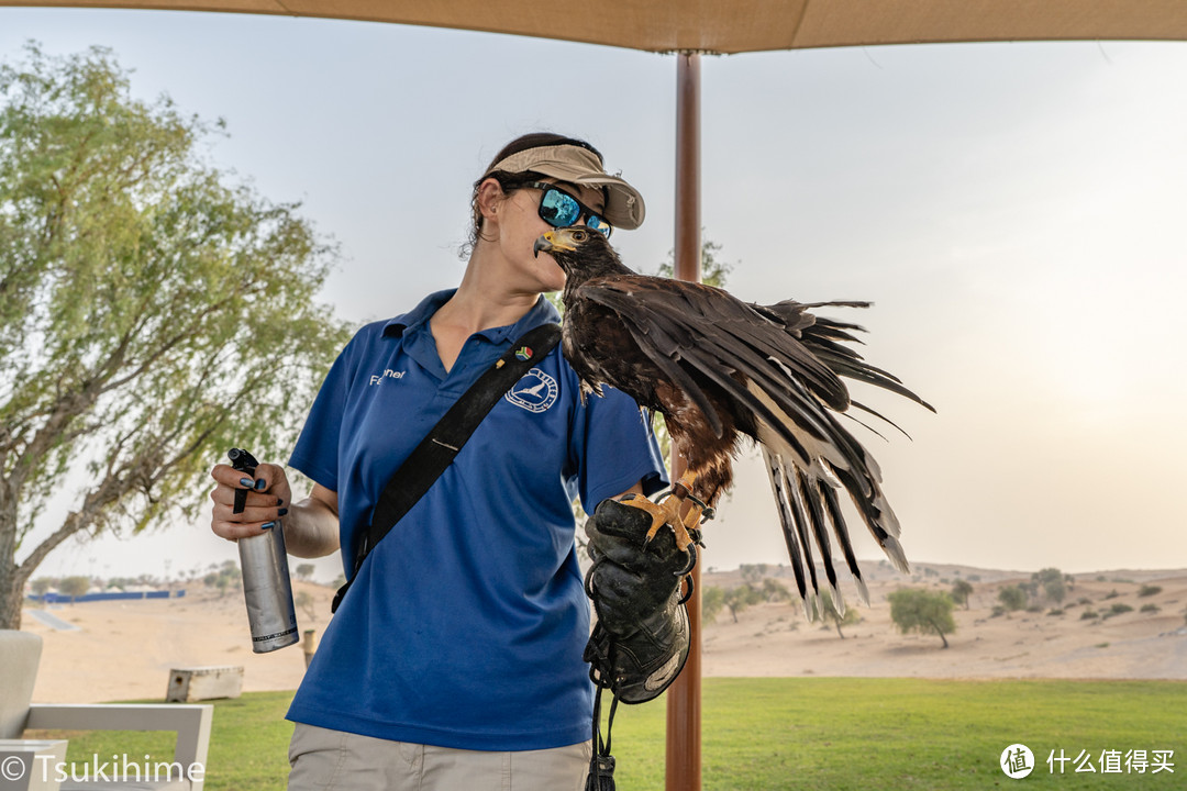 哈伊马角的沙漠绿洲—The Ritz-Carlton Ras Al khaimah, Al Wadi Desert