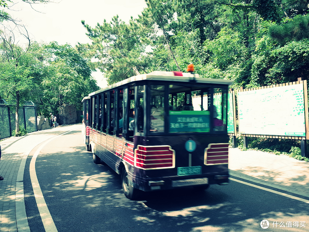 散养区（南门进）院子里有这个小火车。