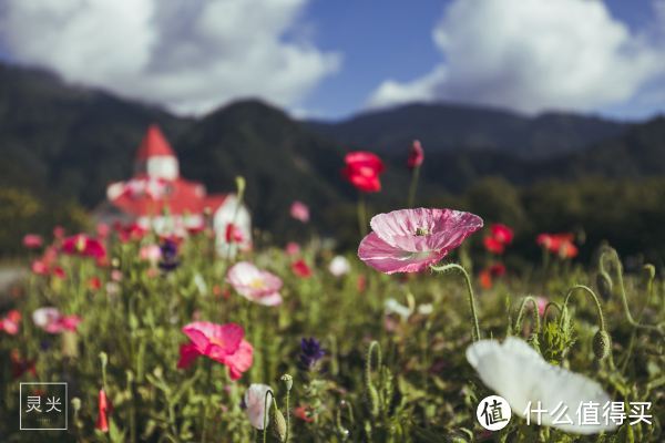 躺在西岭雪山的透明帐篷里，探索星空秘境