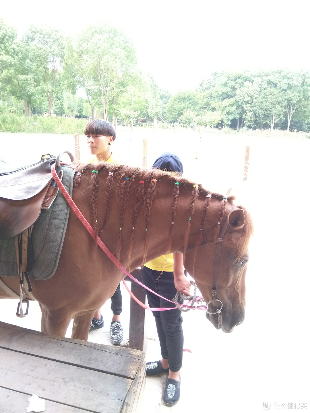 扎了小辫的，估摸着是姑娘