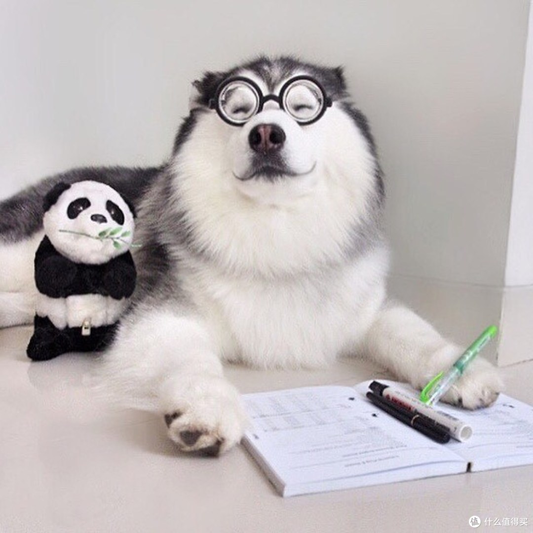 新生入学运营商选哪家!
