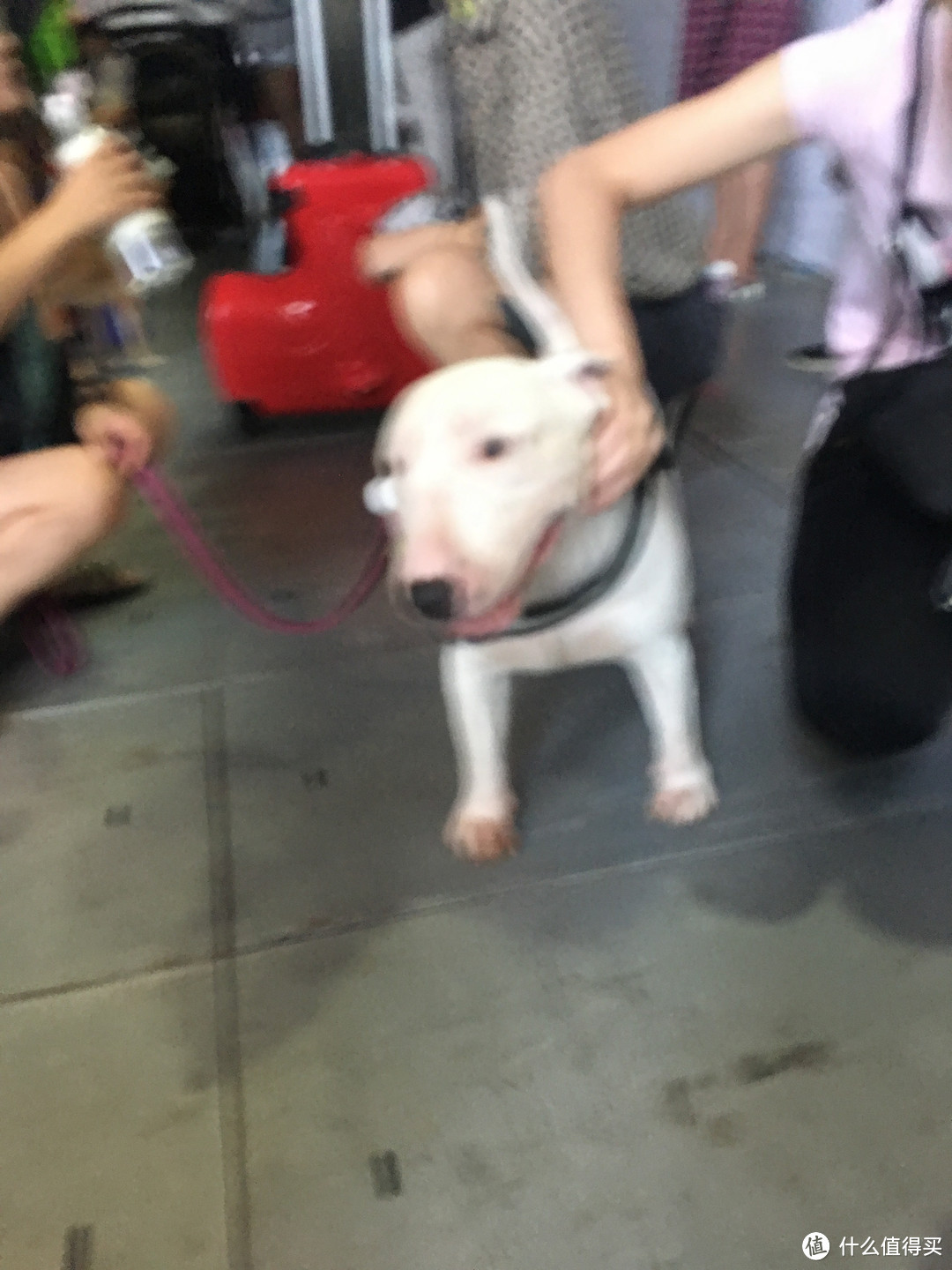 红雷,原来你也在