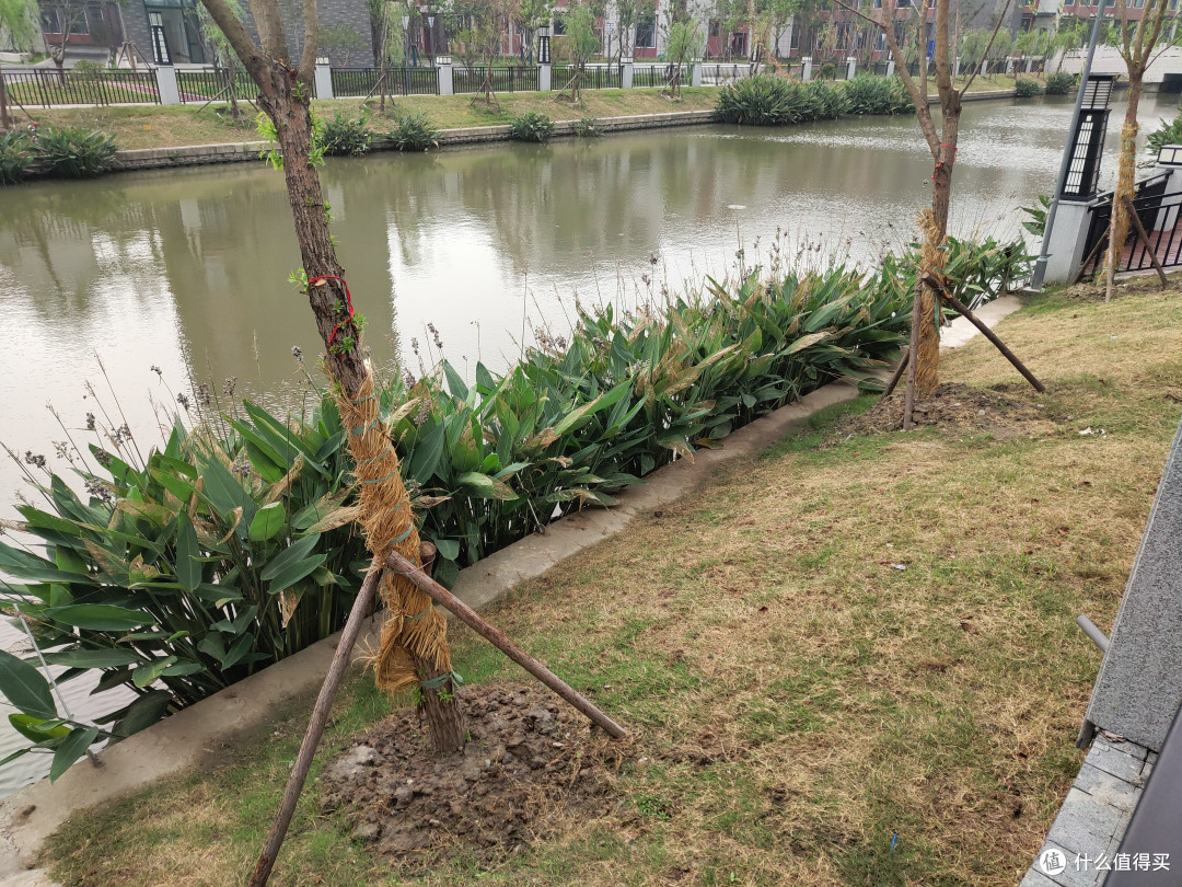 黄章最锋利的一根长矛,魅族16新旗舰全面评测!