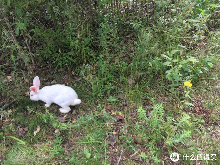 实践出真知—长白山亲子旅游线路推荐