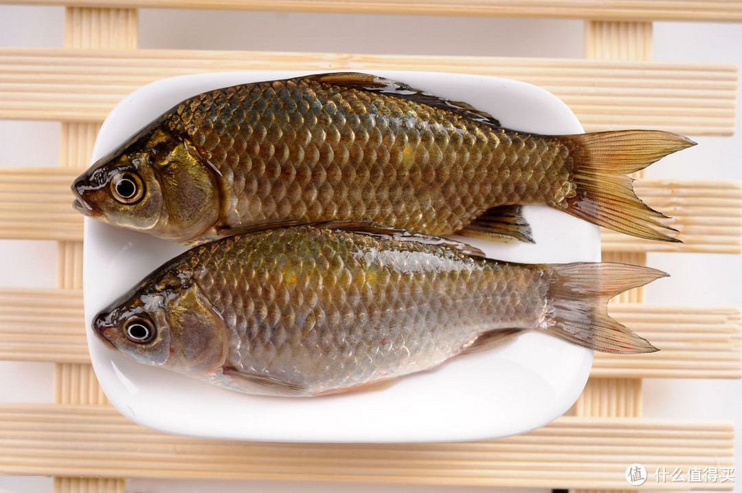 秋季进补这么吃—越吃越瘦的营养美食(水产篇)