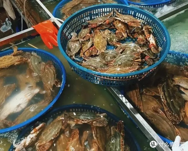 中秋节除了月饼吃什么？ 平价海鲜大餐推荐