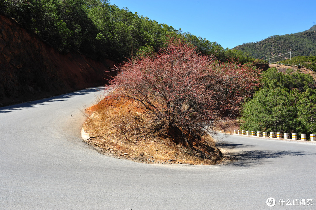 盘山公路