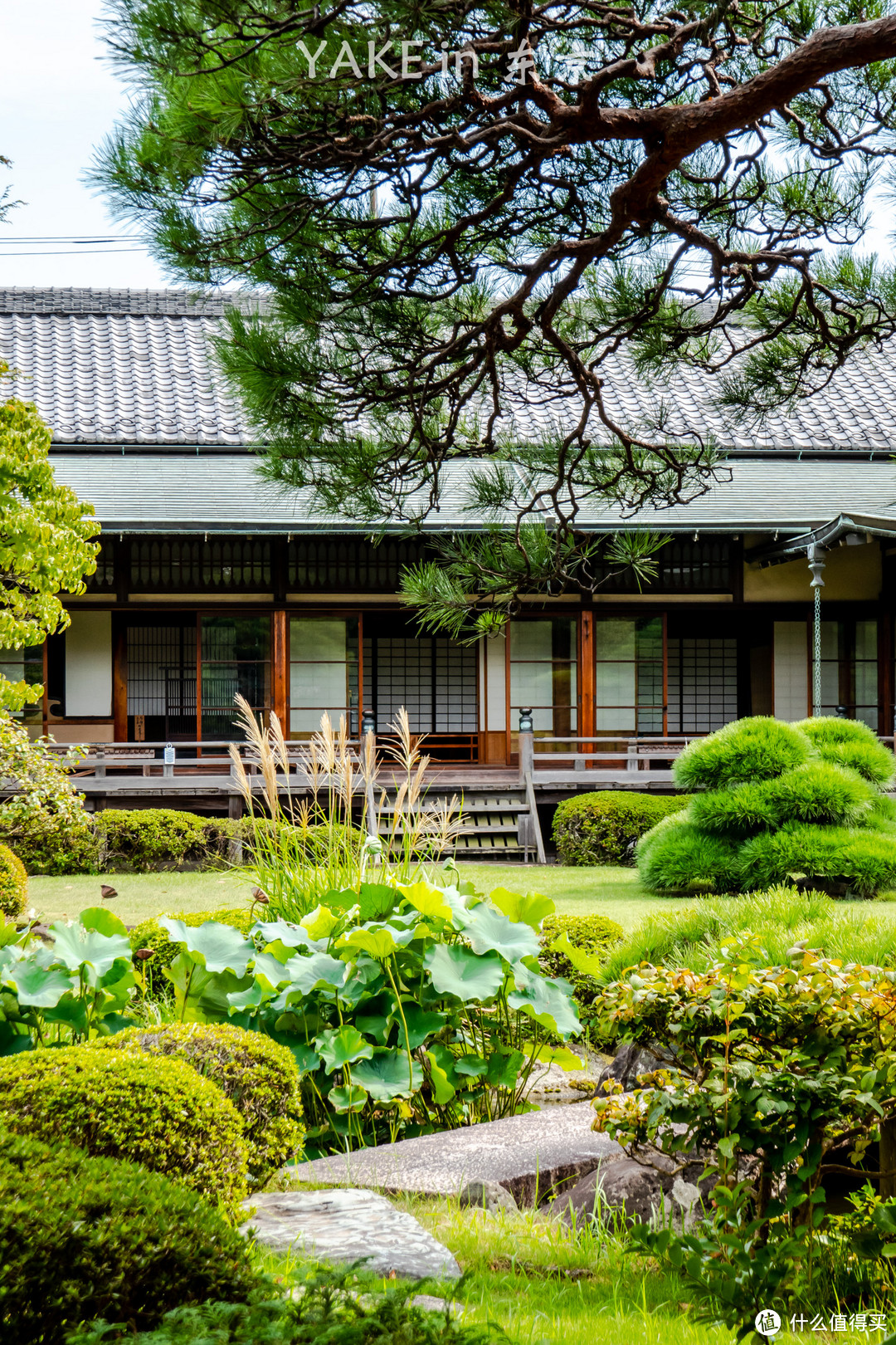 柴又山本亭