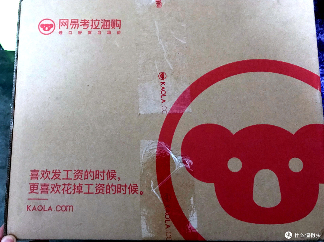 爱买包,更爱旅行—Fjallraven 瑞典北极狐 Kanken Classic ( F23510)开箱