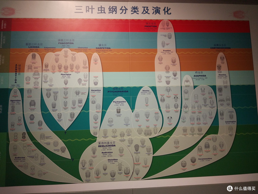 超值合肥三馆游:合肥科技馆、安徽省地质博物馆和安徽省博物馆