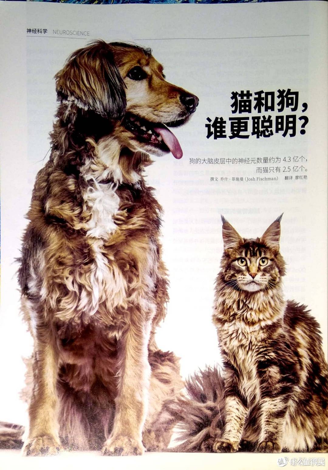 《猫和狗，谁更聪明？》