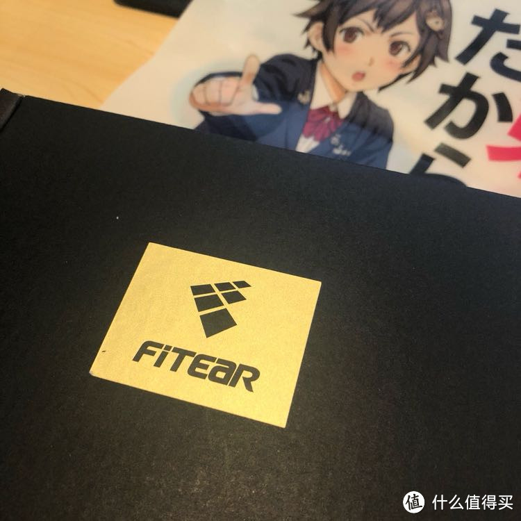 FitEar EST 静电动铁混合单元耳机 开箱首测