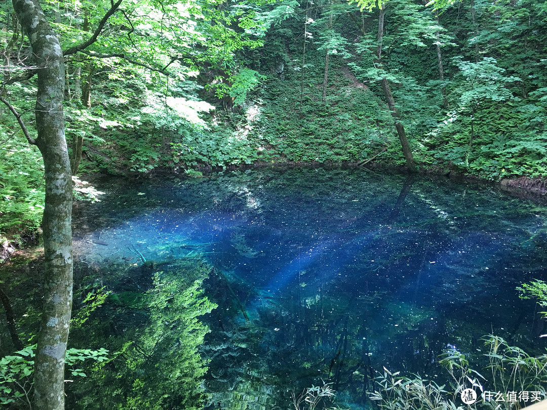 青池，更多的是胜在幽静，远离纷扰