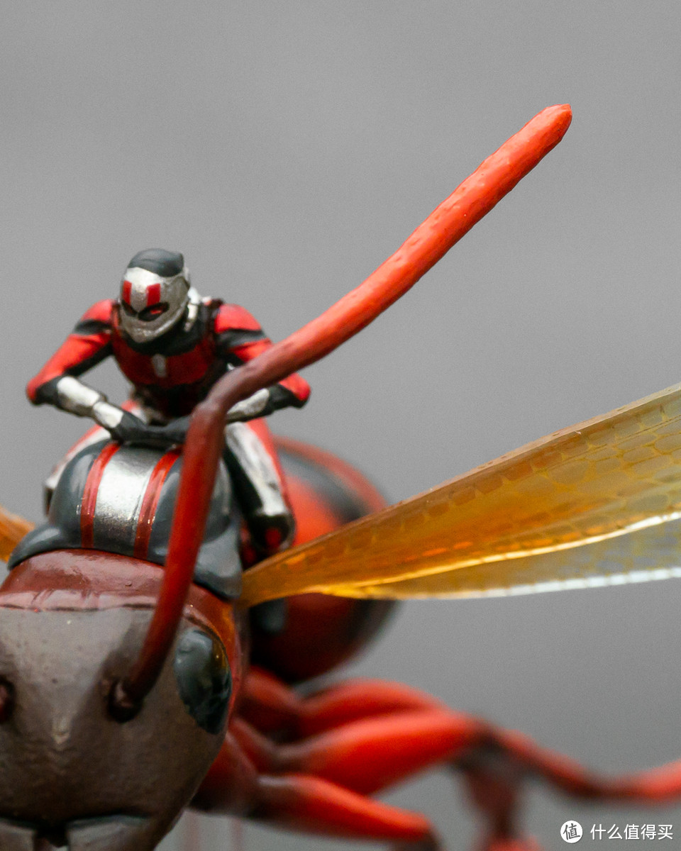 在天愿作比翼鸟,在地愿作……蚂蚁和黄蜂?Hot Toys 微型收藏品系列 骑飞蚁的蚁人与黄蜂女套装