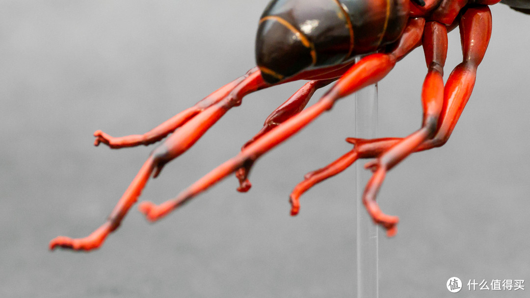 在天愿作比翼鸟，在地愿作……蚂蚁和黄蜂？Hot Toys 微型收藏品系列 骑飞蚁的蚁人与黄蜂女套装