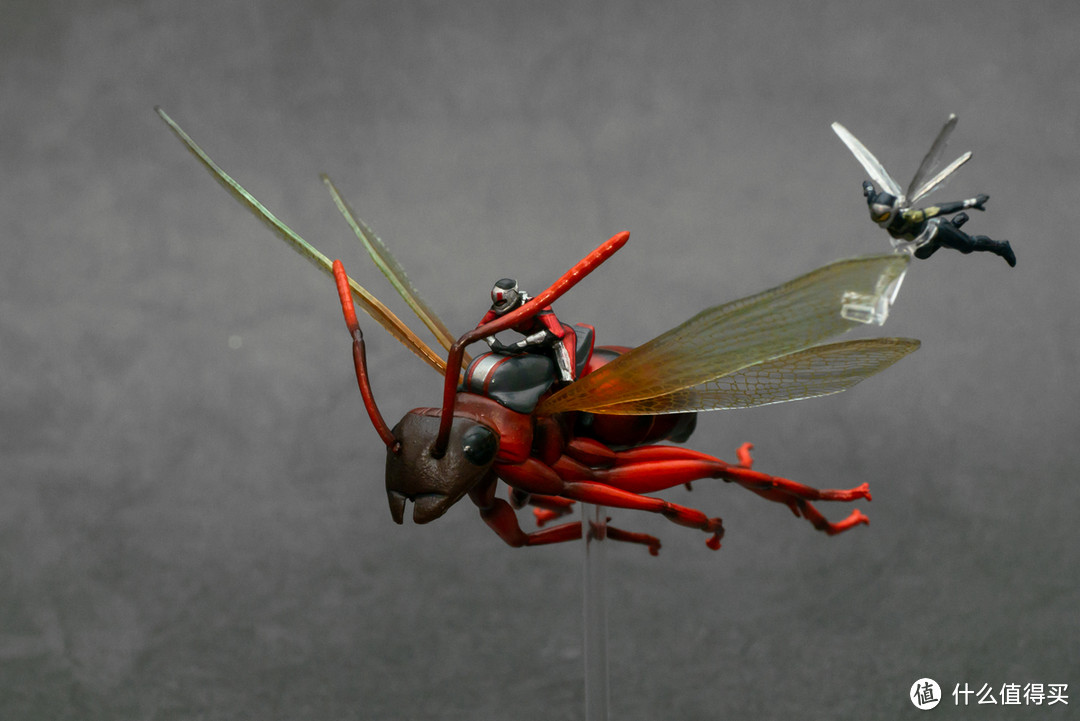 在天愿作比翼鸟,在地愿作……蚂蚁和黄蜂?Hot Toys 微型收藏品系列 骑飞蚁的蚁人与黄蜂女套装