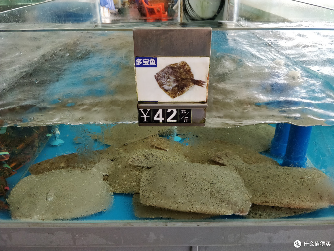 海口攻略——海鲜大排档