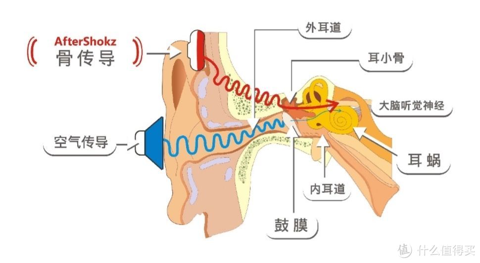 摆脱耳塞羁绊，聆听世界声音---“韶音AS650”深度评测