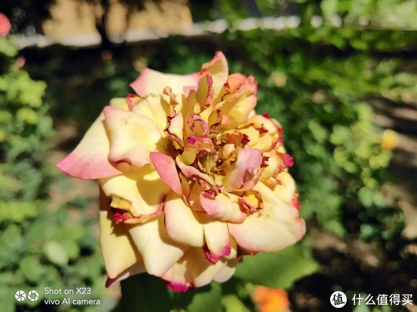 Vivo X23 手机抢鲜入手,或许这是你想要了解的