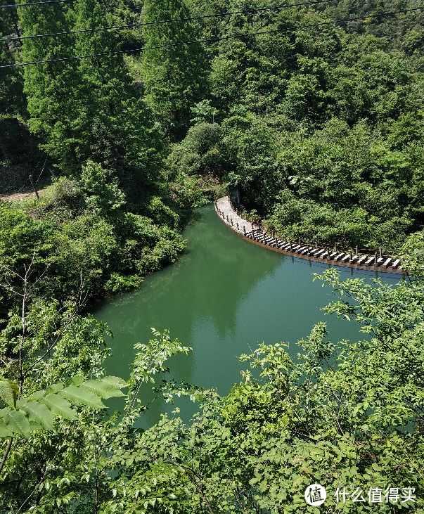 从山顶看湖泊，绿汪汪的一片。