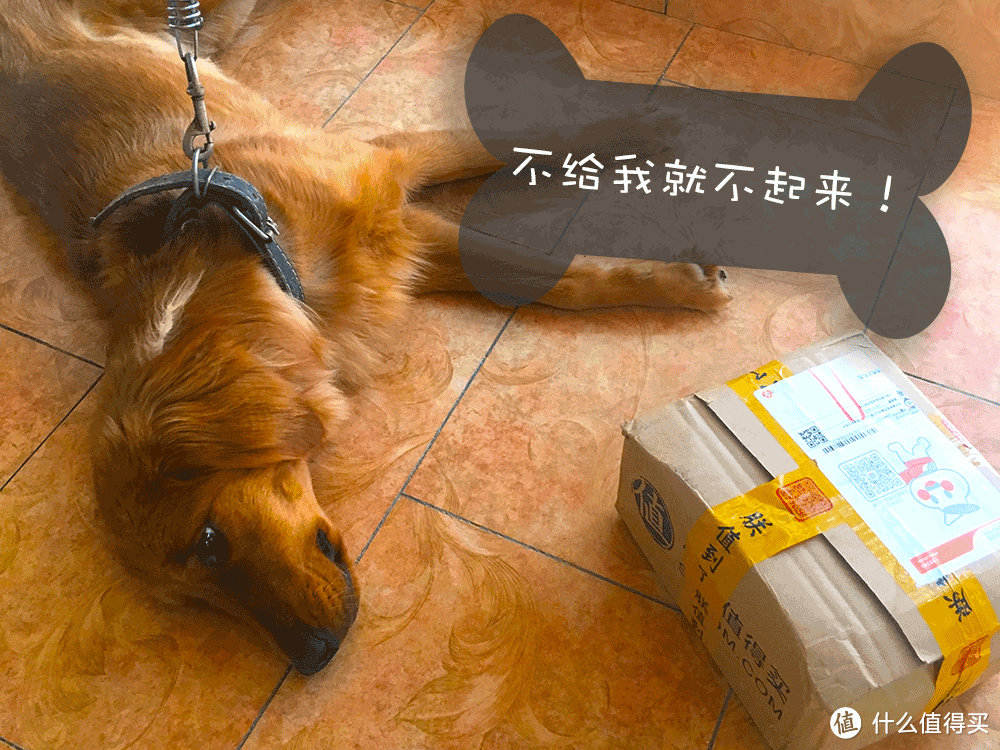 WOWO,“值”到的汪星福利!