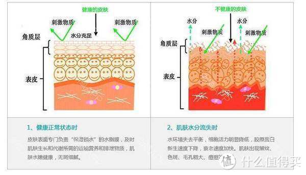 秋季维稳，抛弃猛药，附赠几乎零成本的护肤小技巧！