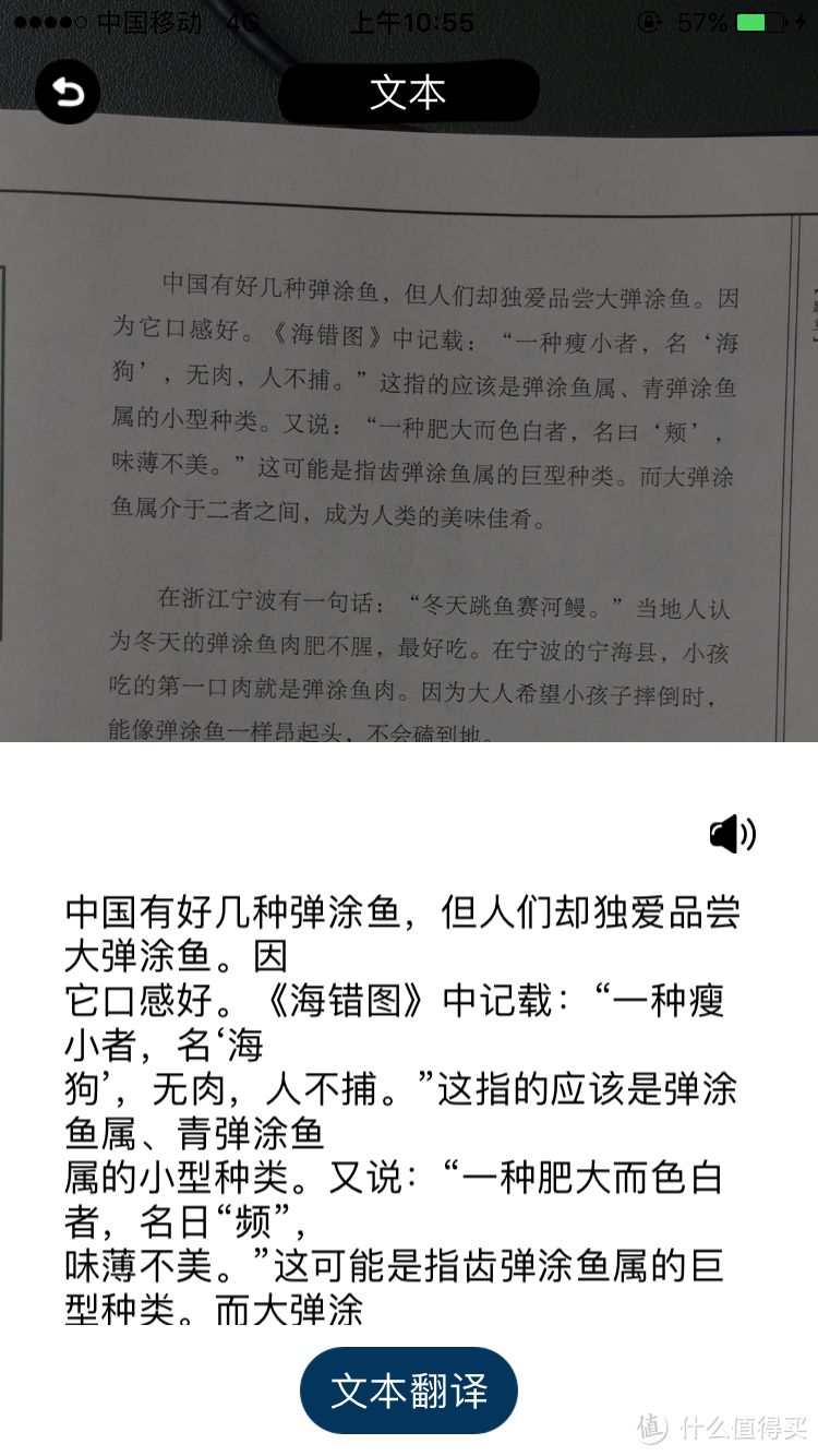 Alavening智能闹钟音箱——家庭生活里趣味十足的小伙伴