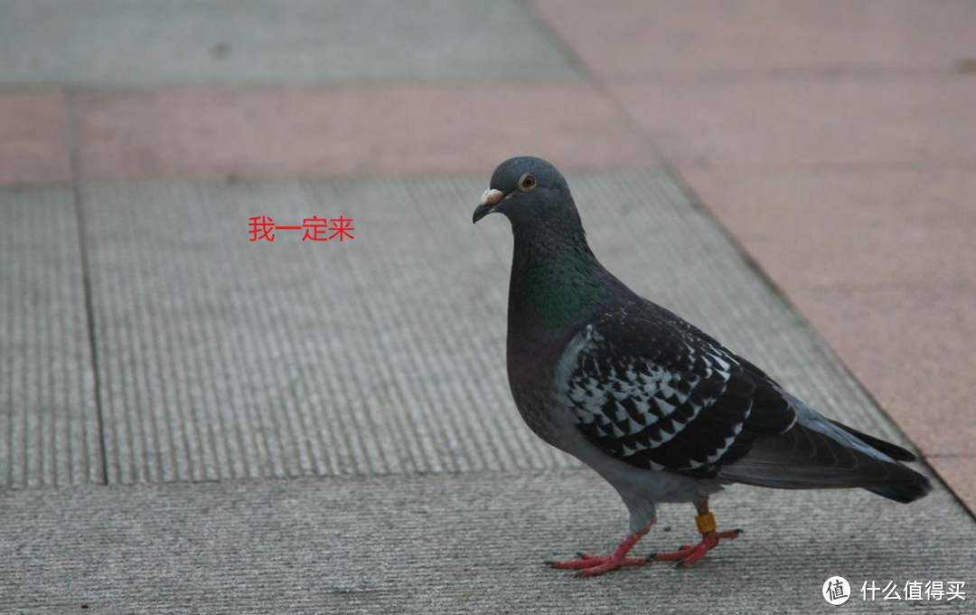 我们也是有组织的人了!什么值得买金华分剁线下首聚