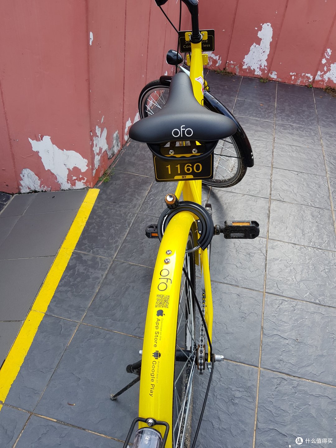 OFO??!!