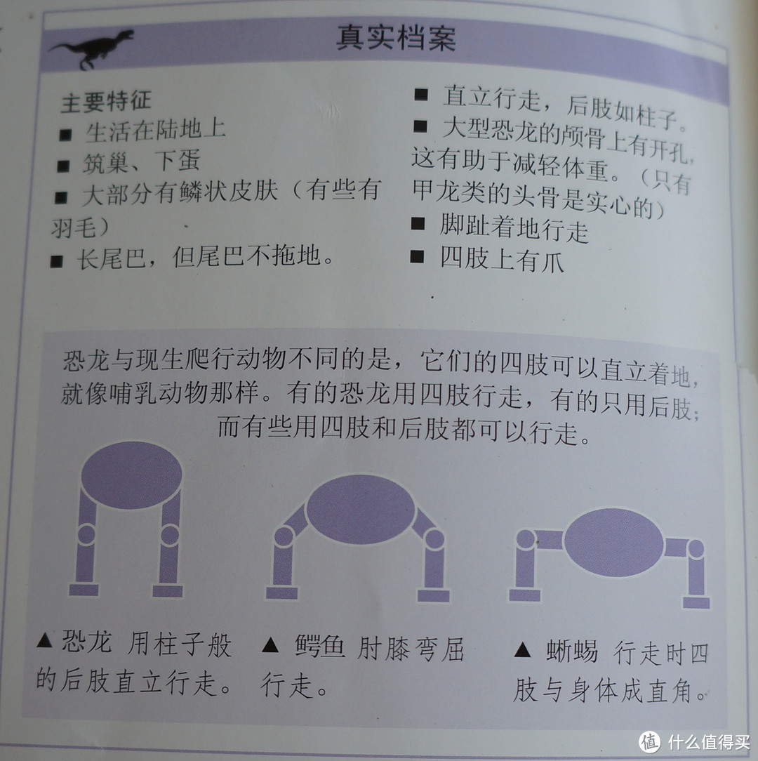 关于恐龙的童书购买参考