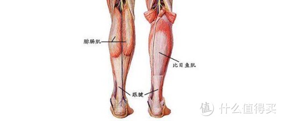 跑前学会这几个动作，让伤病跟你说拜拜！