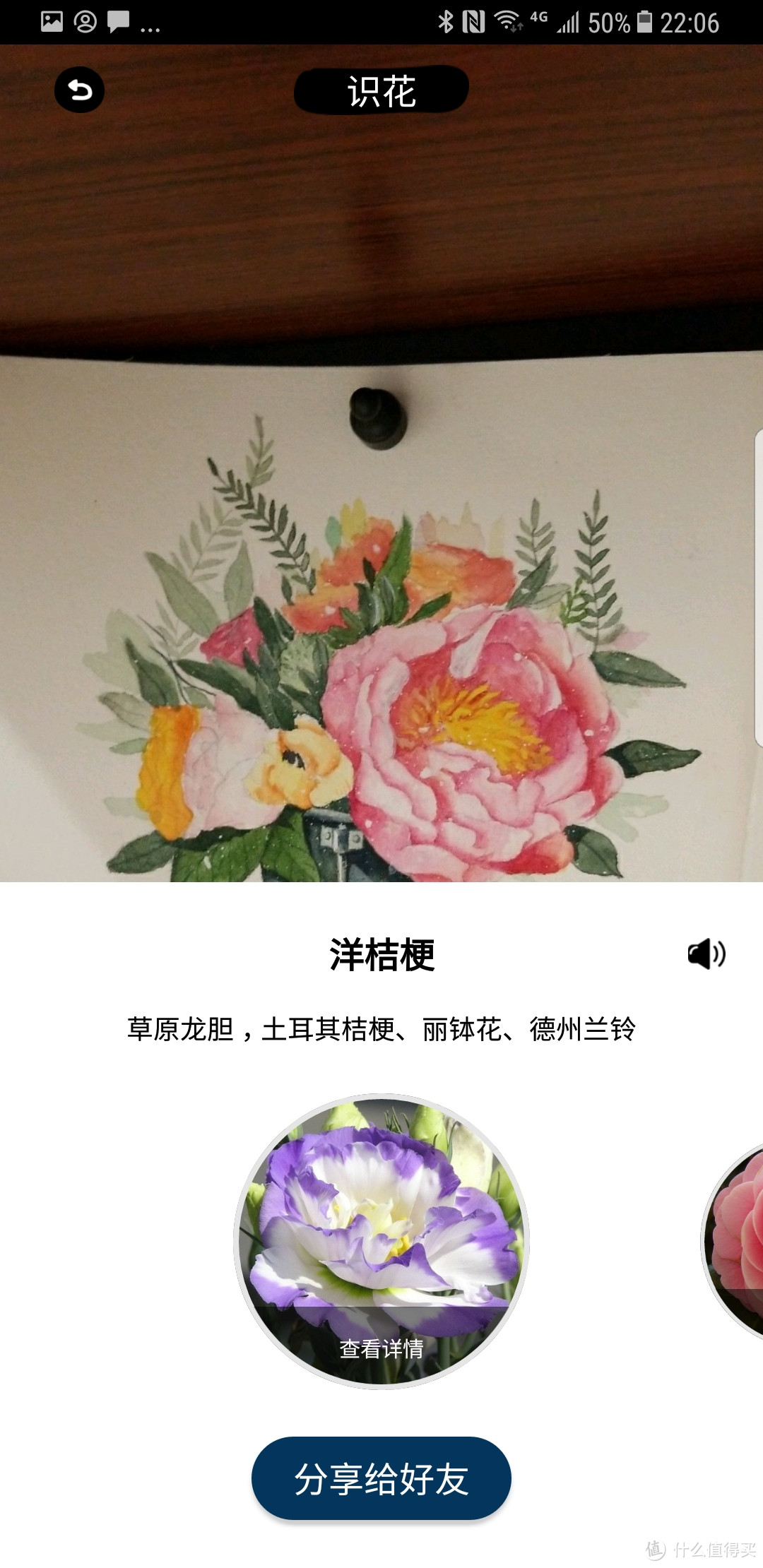 能干的“花瓶”----阿拉的神奇小闹闹评测