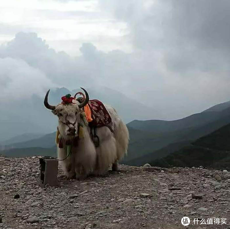 青海甘肃西北大环线游记（内附详细行程及建议）