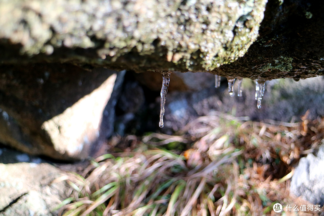 峡谷中的露水已经结冰