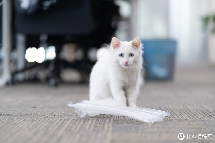 索尼FE85mmF1.8?适马FE50mmF1.4?搭配索