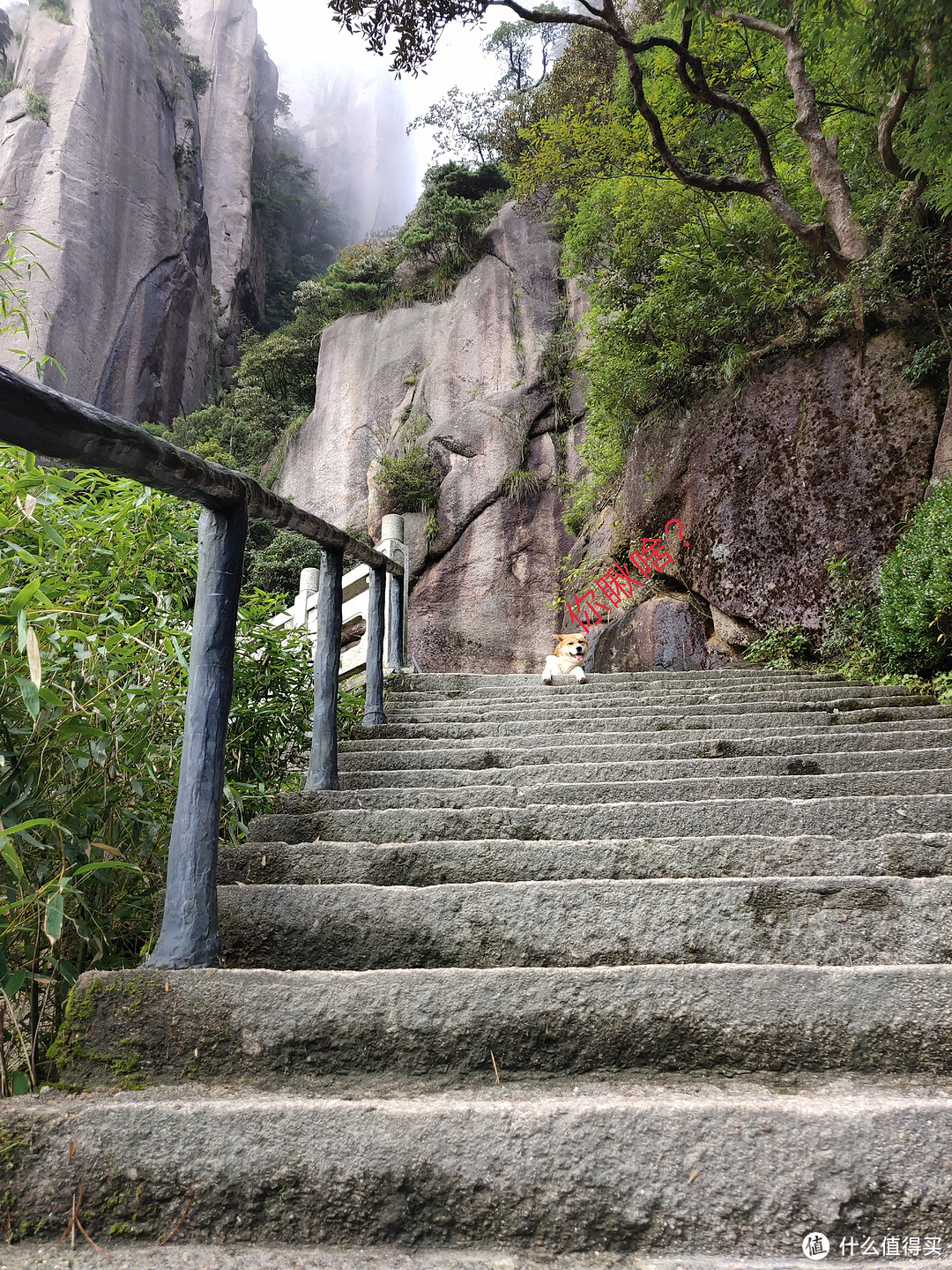 避开中秋和国庆，三清山2日游&精华全览