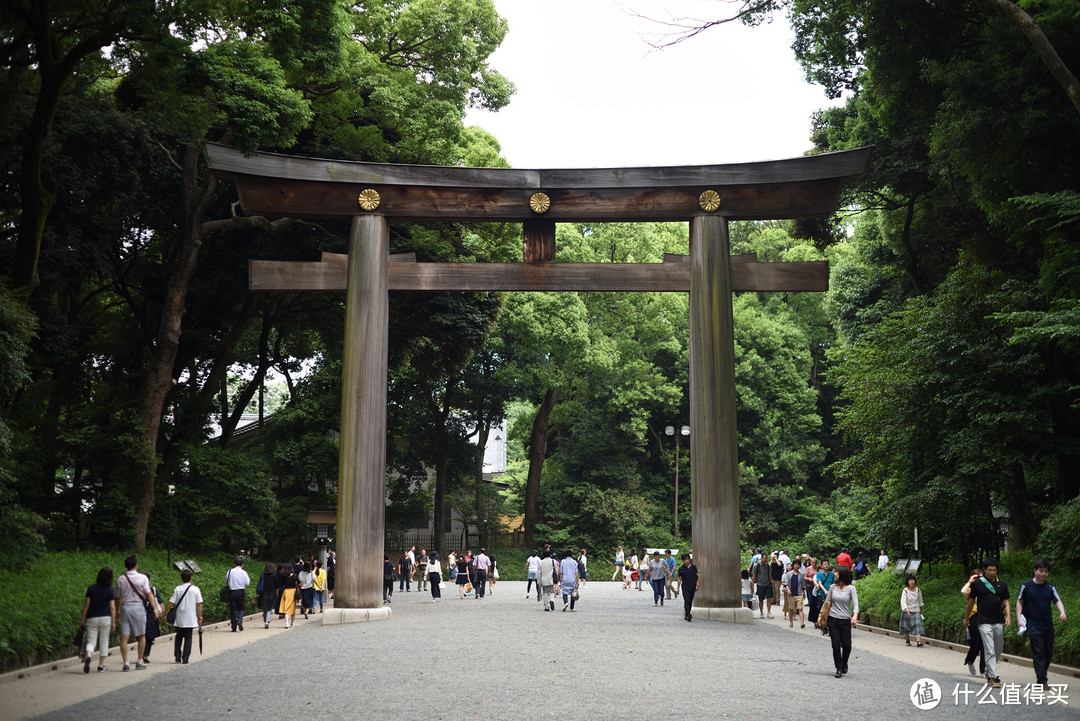 旅行轻攻略，初夏の日本九日行