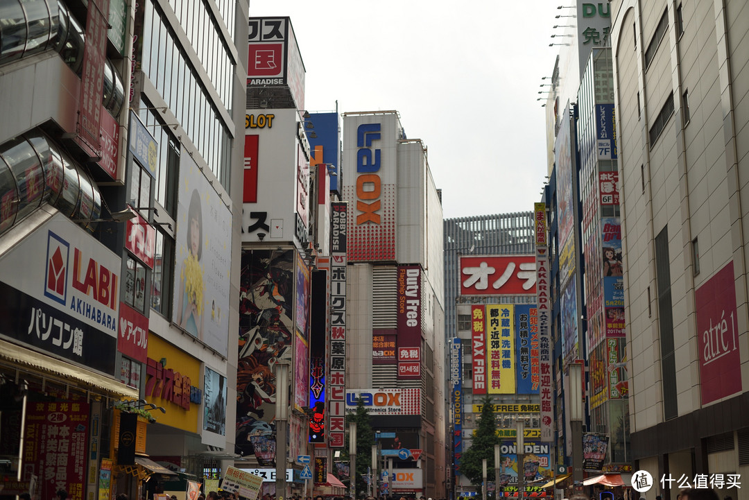 旅行轻攻略，初夏の日本九日行