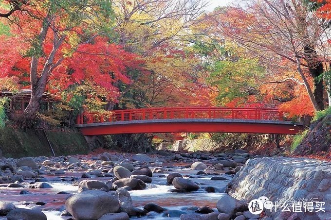 旅行轻攻略，初夏の日本九日行