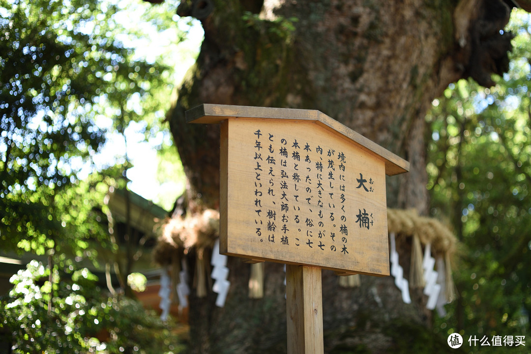 旅行轻攻略，初夏の日本九日行