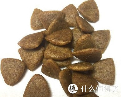 带给狗狗不一样的成长，爱犬的专宠定制