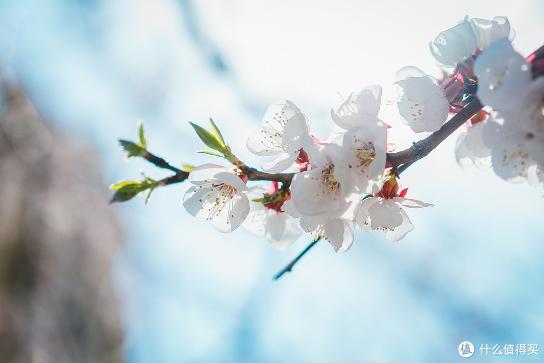 ▲ 焦距:55mm　 光圈:f/2.8　 ISO感光度:50　 曝光时间:1/1000S